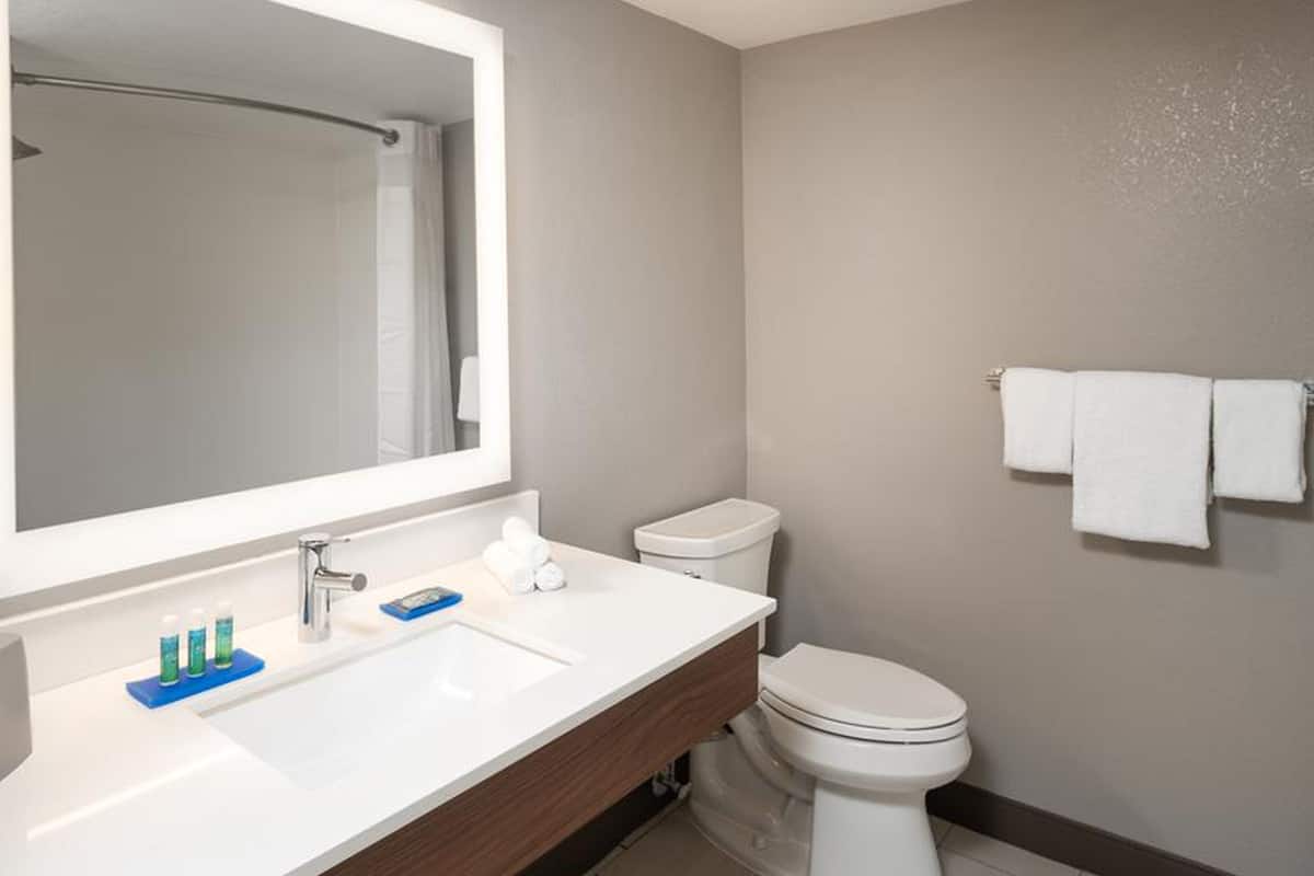 combined shower/bathtub, free toiletries, hair dryer, towels