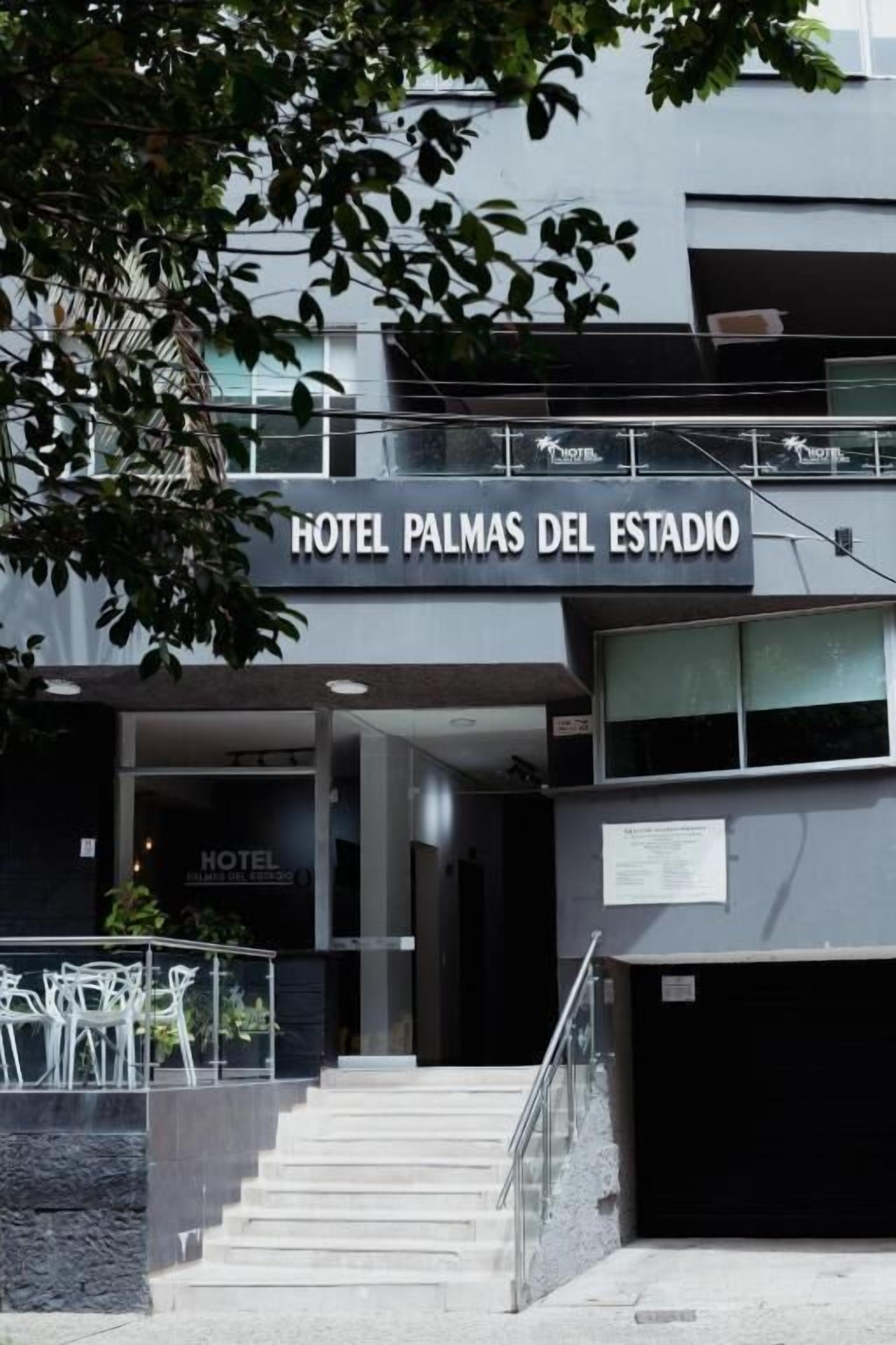 Foto - Palmas del Estadio Hotel