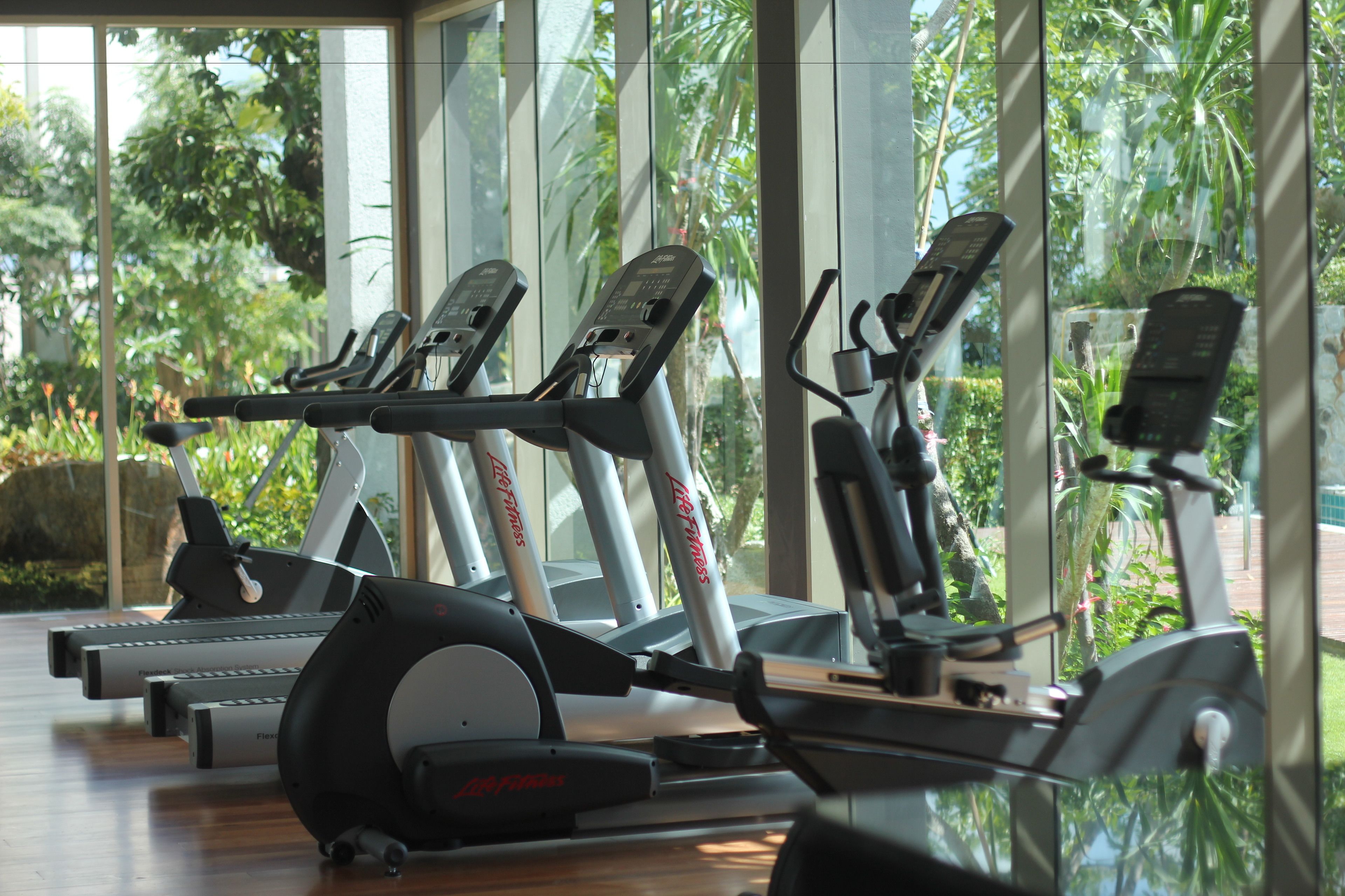 Ett gym med motionscyklar och löpband, stora fönster med utsikt över grönområden.
