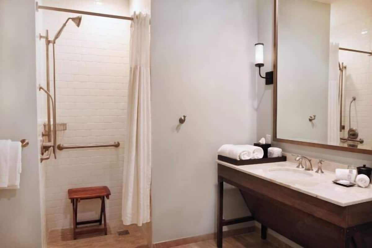 Bathroom | Shower, free toiletries, hair dryer, towels