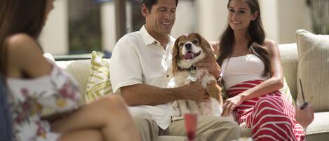 A family with a dog on a couch, a table with food and drinks, and a window with blinds.