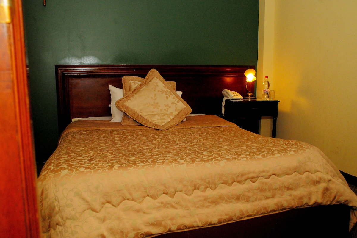 Una cama bien hecha con una colcha estampada y almohadas, una mesita de noche con una lámpara y un teléfono, y una pared verde.