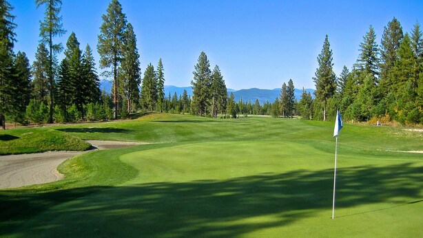 A golf course with a flagstick, surrounded by tall trees and a clear sky. - Country Inn (Libby)