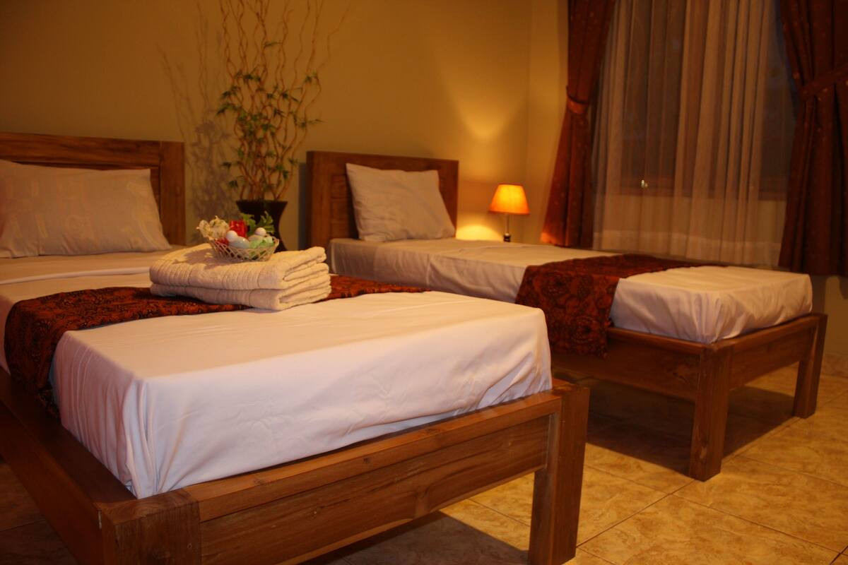 A hotel room with two wooden beds, a nightstand with a lamp, a potted plant, and a window with curtains.