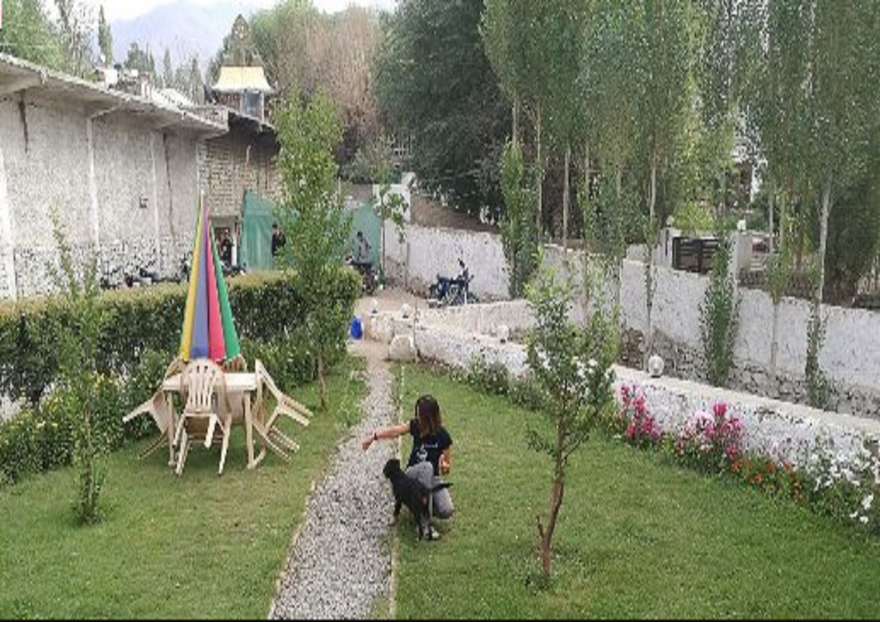 A courtyard with a small tree, a colorful umbrella, and a white wall.