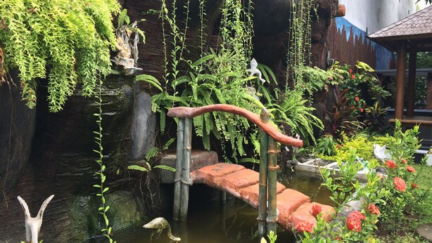 A garden with a pond, a wooden bridge, and various plants. - Jenny Bunker Homestay (Kuta)
