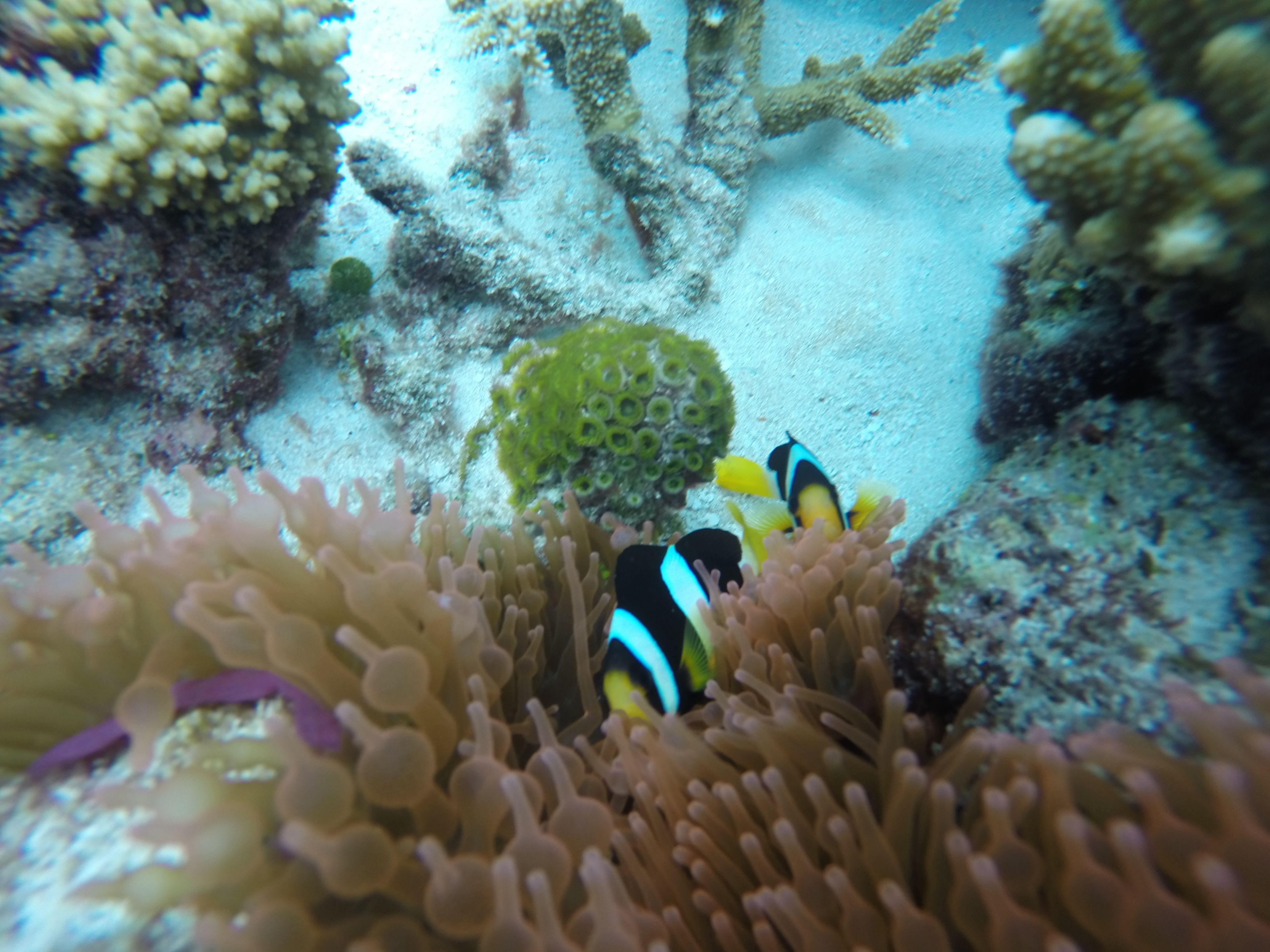 Photo - Salt Beach Hotel