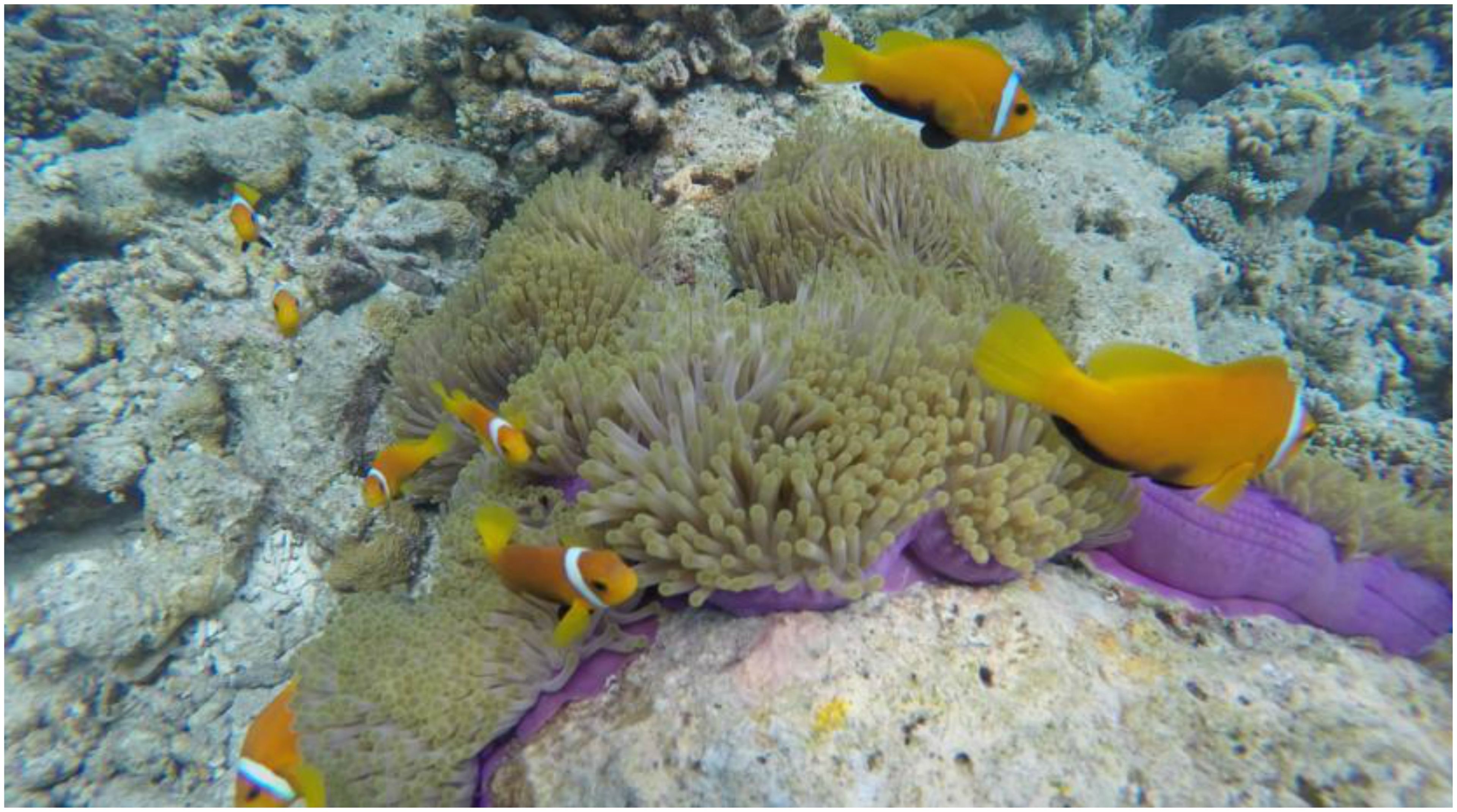 Photo - Salt Beach Hotel