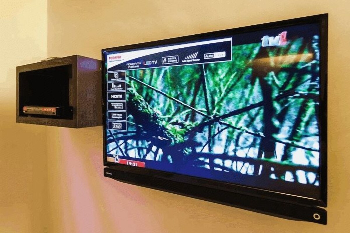 Television