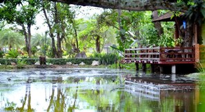 Lake - The Grand Jamjuree Resort Lamphun (Lamphun)