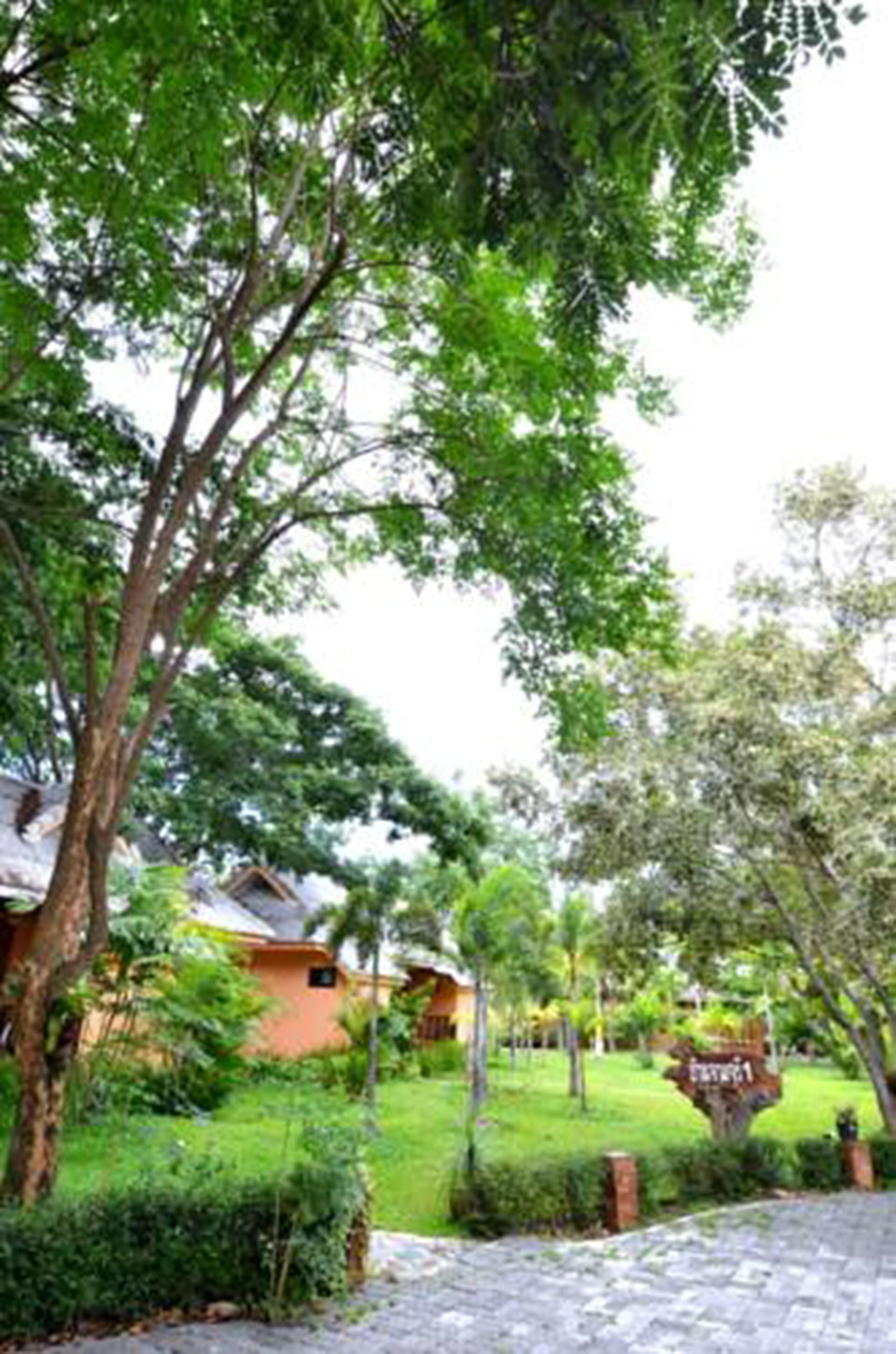 A bungalow with a paved driveway, surrounded by lush greenery and a well-maintained lawn.