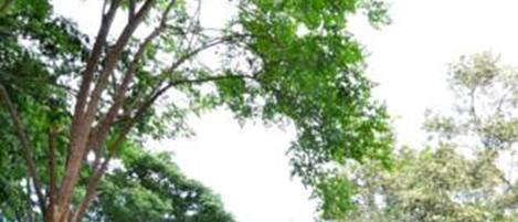A bungalow with a paved driveway, surrounded by lush greenery and a well-maintained lawn.