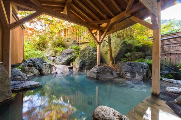 Public bath - Hirayu Prince Hotel (Takayama)