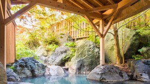 A wooden structure with a stone pool surrounded by rocks and foliage. - Hirayu Prince Hotel (Takayama)