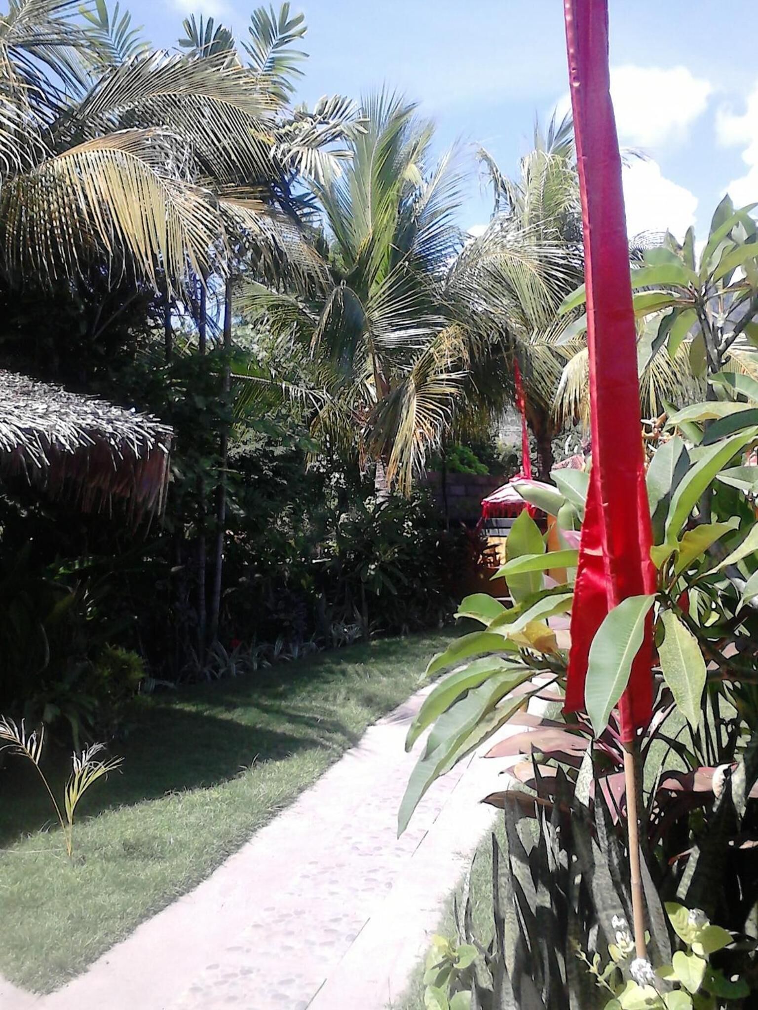 A pathway through a tropical garden with palm trees and a thatched structure.