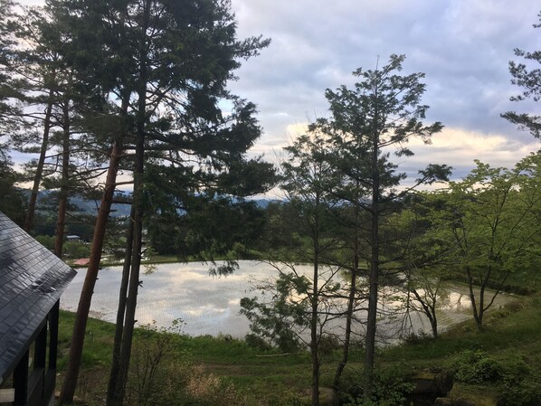 A lakeside view with tall trees and a building with a sloped roof. - Pension Good Luck Takayama (Takayama)