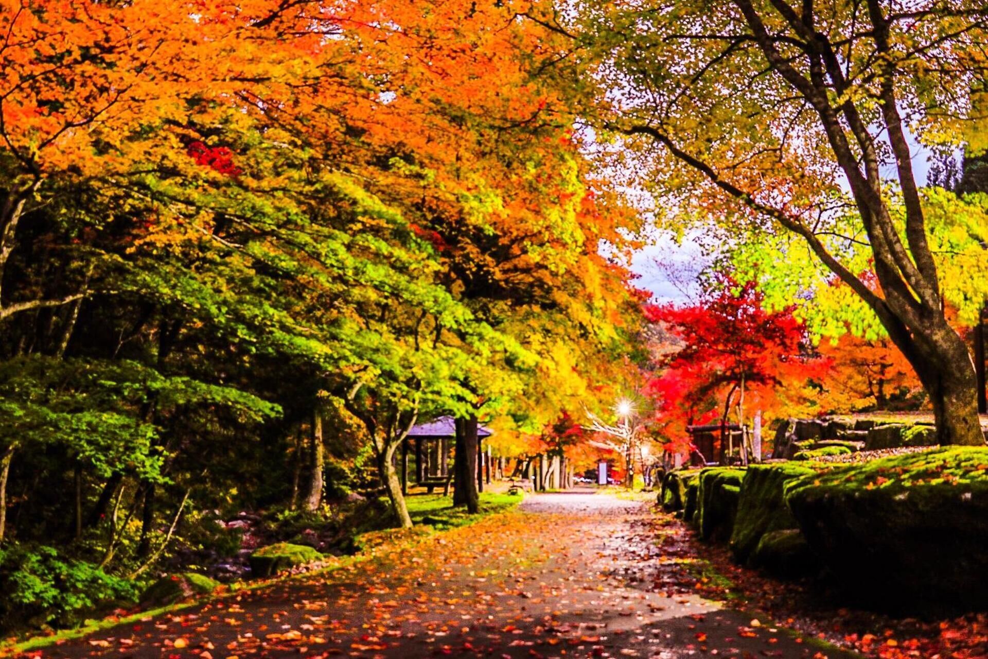 Photo - Pension Good Luck Takayama