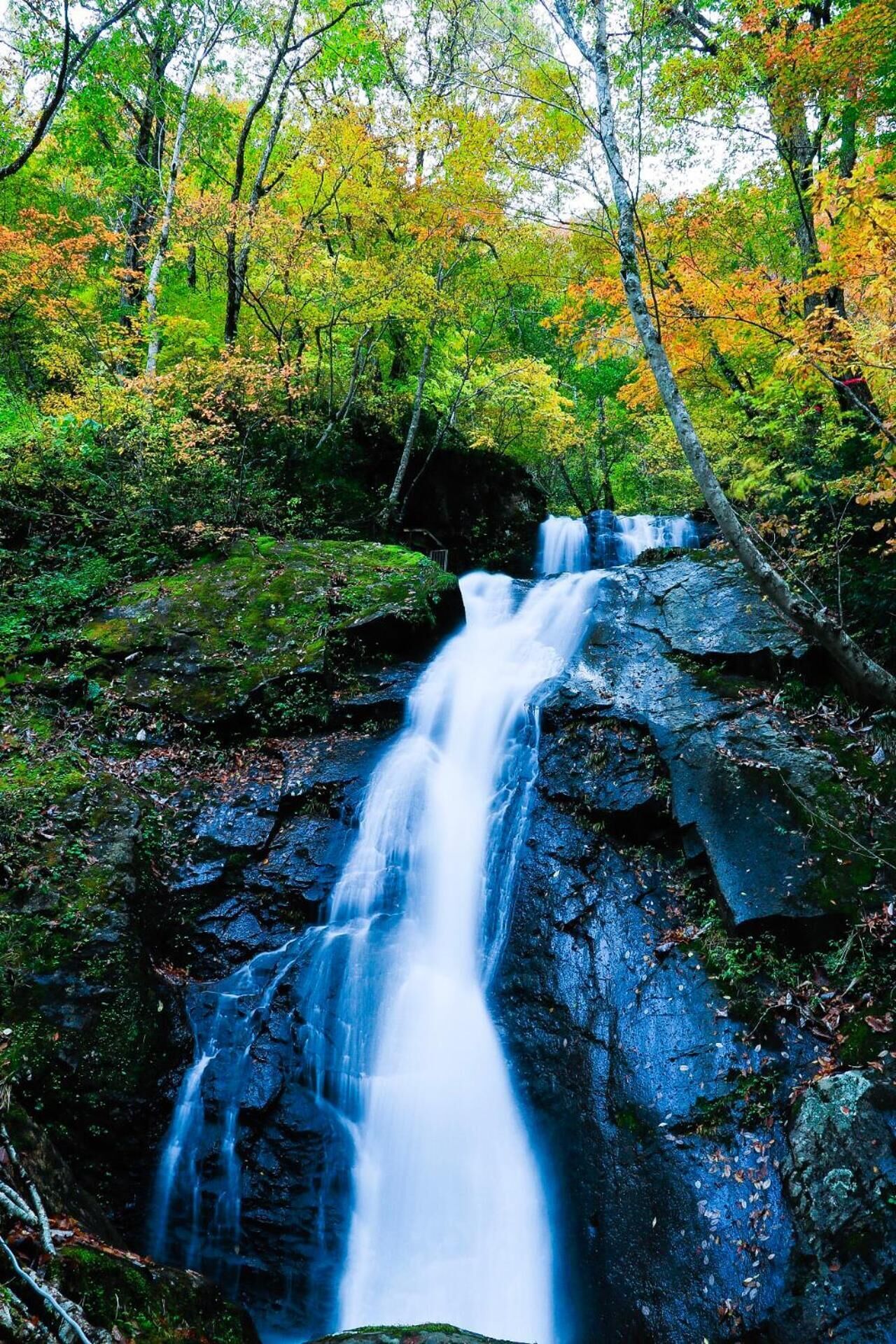 Photo - Pension Good Luck Takayama