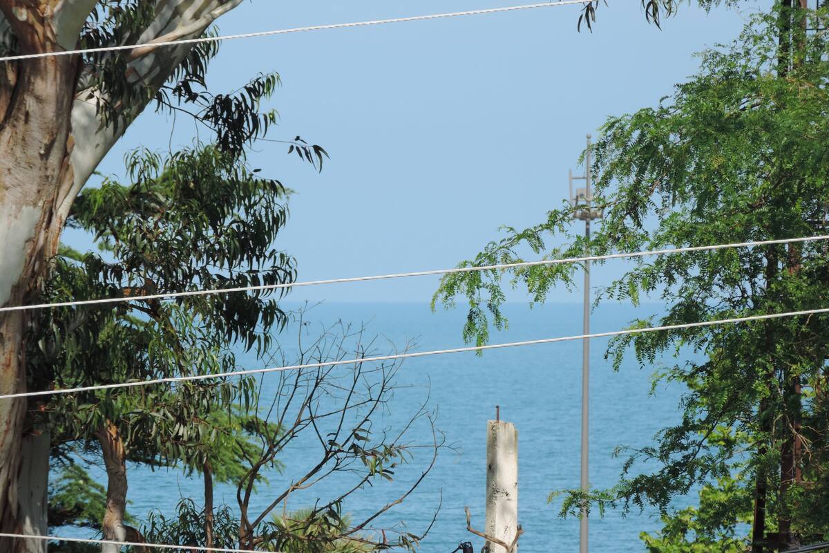 Une vue sur la côte, avec un ciel dégagé, des arbres et une étendue d’eau.
