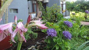 A garden with pink and purple flowers, a green umbrella, and a building with a balcony. - Hotel Villa del Mar (Batumi)