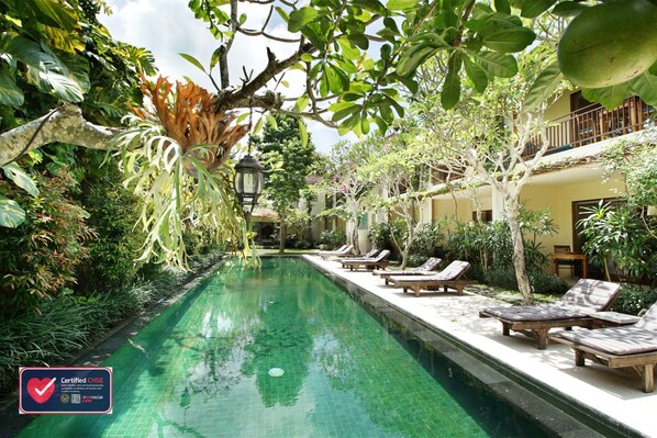 Outdoor pool, sun loungers
