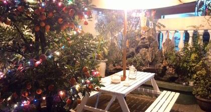 Thao Hieu Homestay Hoi An