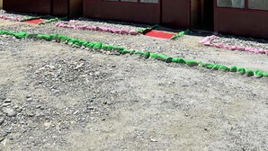 Imej tidak diklasifikasikan, 3 daripada 49, butang