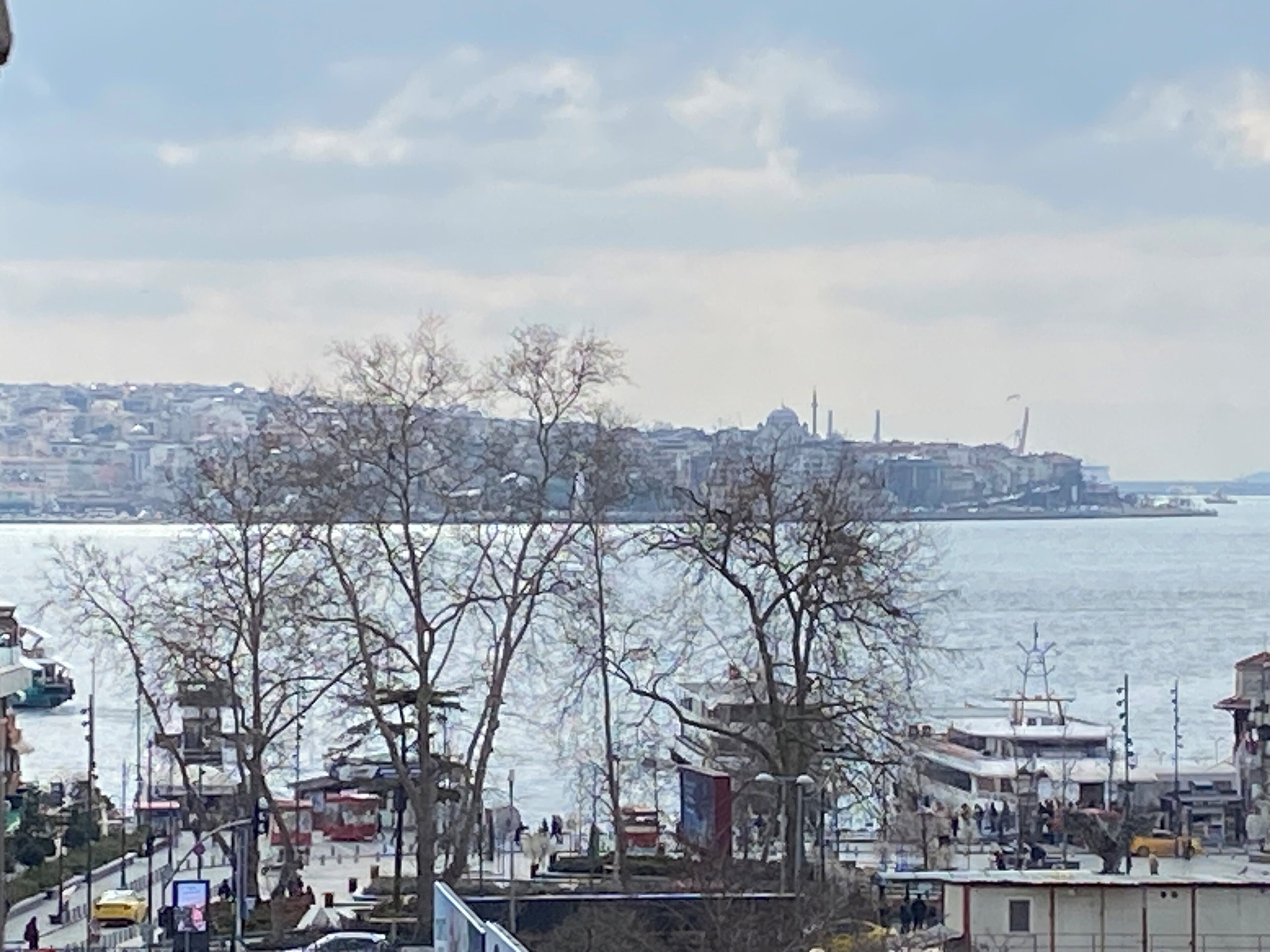 A coastal cityscape with a view of the sea, buildings, and bare trees.