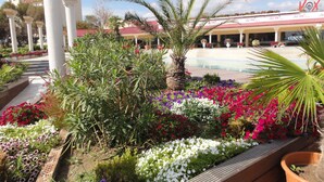 A hotel courtyard with a pool, palm trees, and a variety of colorful flowers. - Vox Maris Grand Resort - Adults only (Costinesti)