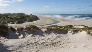 Vlak bij het strand