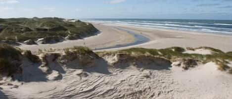 Una spiaggia nelle vicinanze