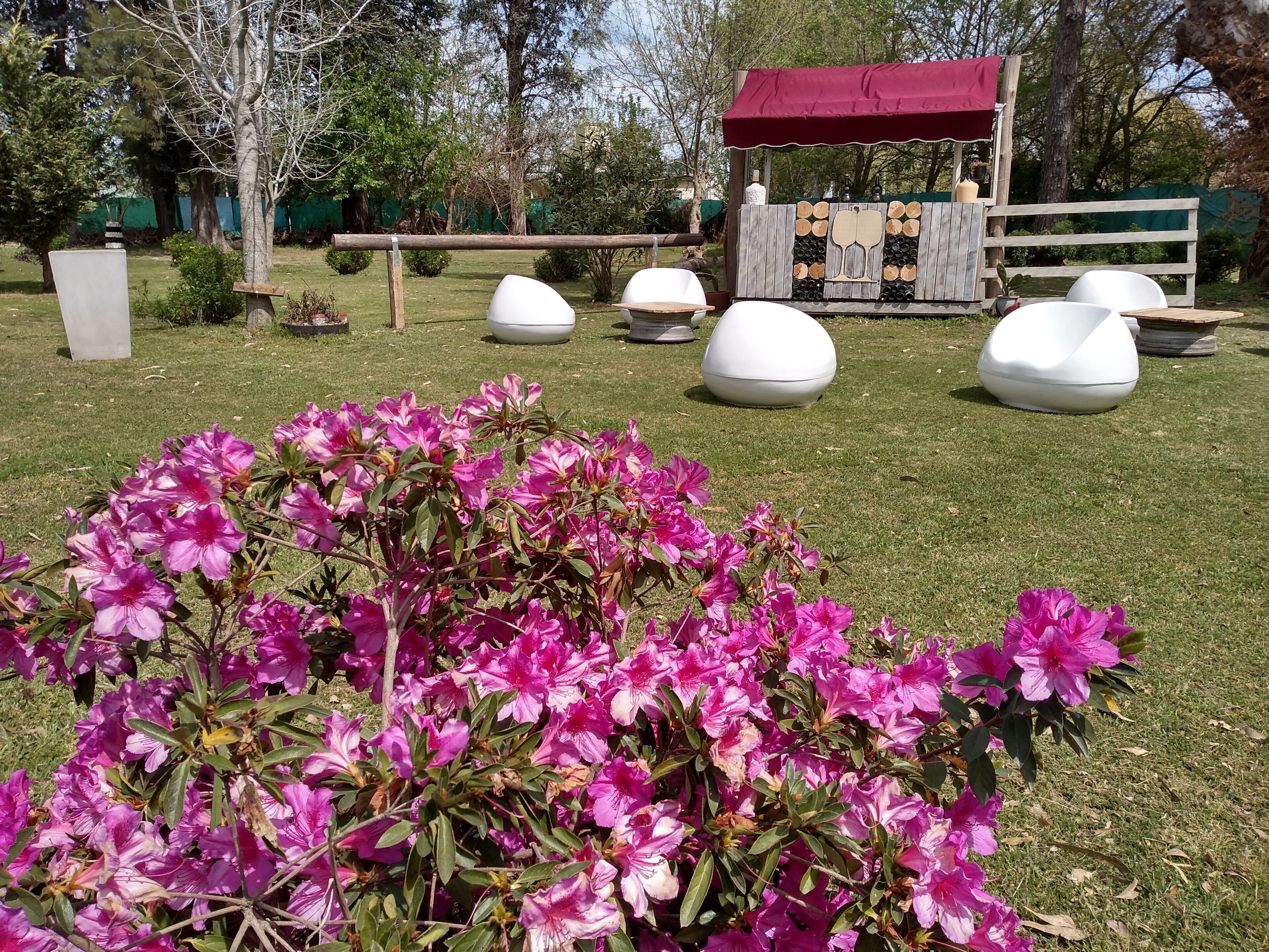 Un jardí amb una estructura de fusta, objectes esfèrics blancs i flors roses.