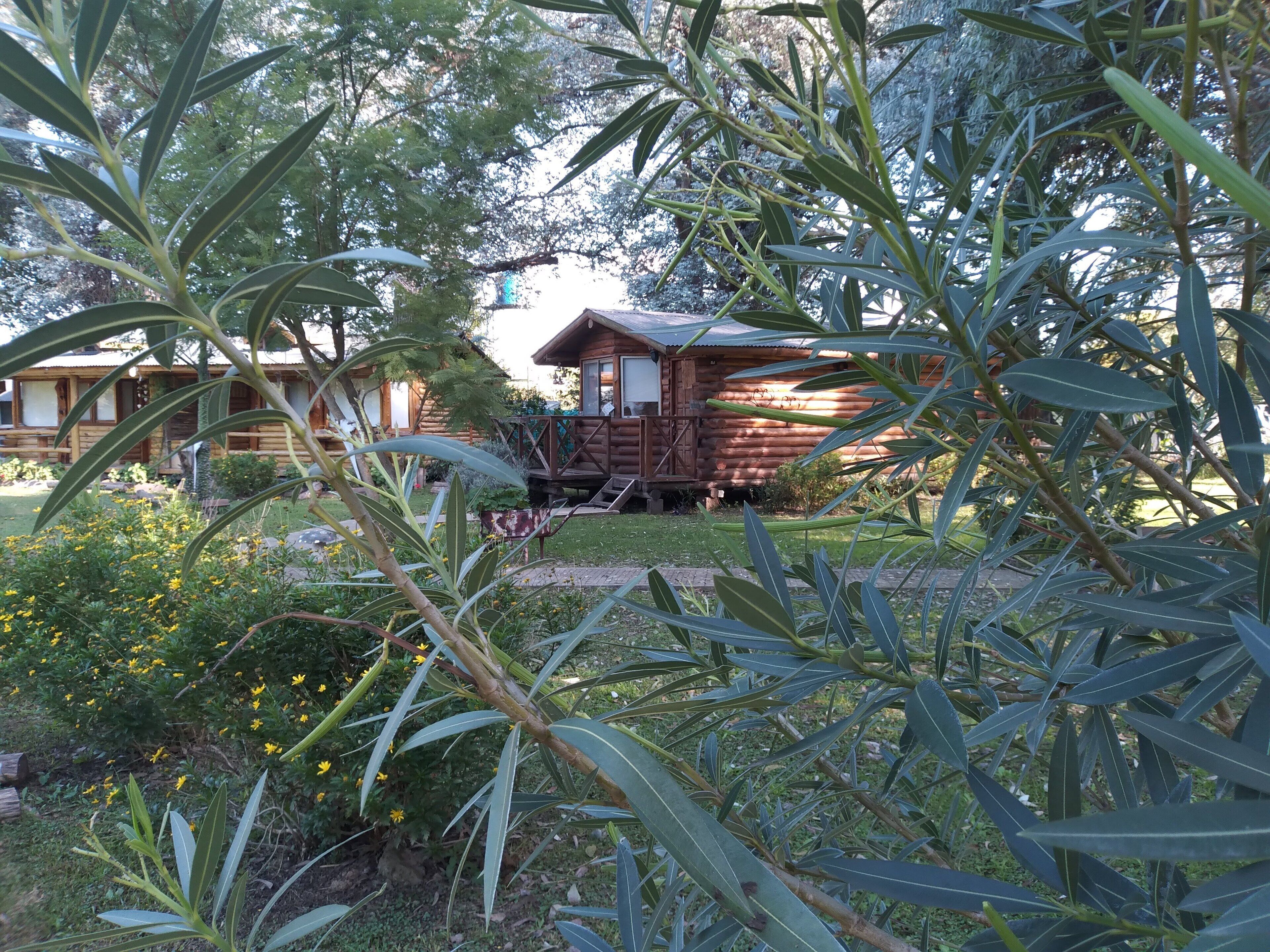A wooden cabin with a porch, surrounded by lush greenery and yellow flowers.