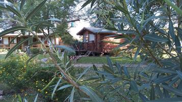 A wooden cabin with a porch, surrounded by lush greenery and yellow flowers.