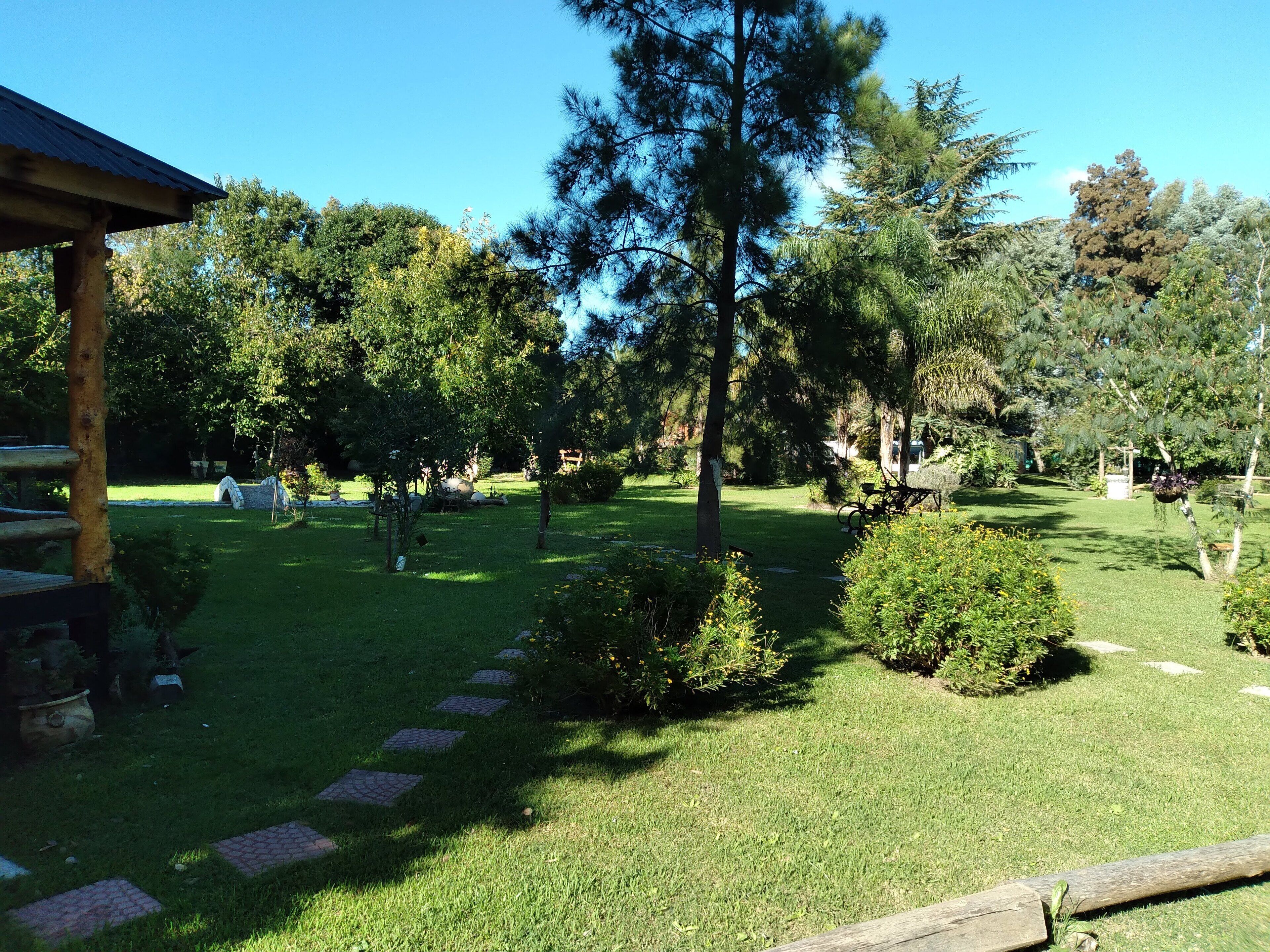 A well-maintained garden with a wooden pergola, stone pathway, and various trees.