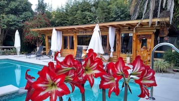 Bar junto a la piscina