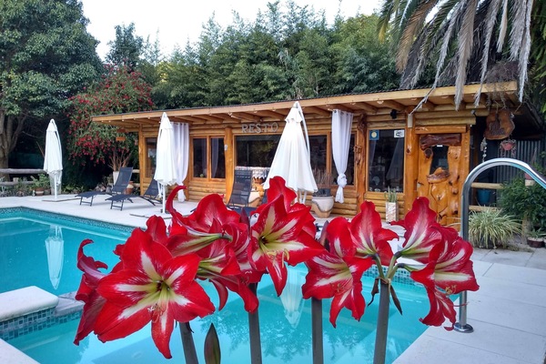 Poolside bar