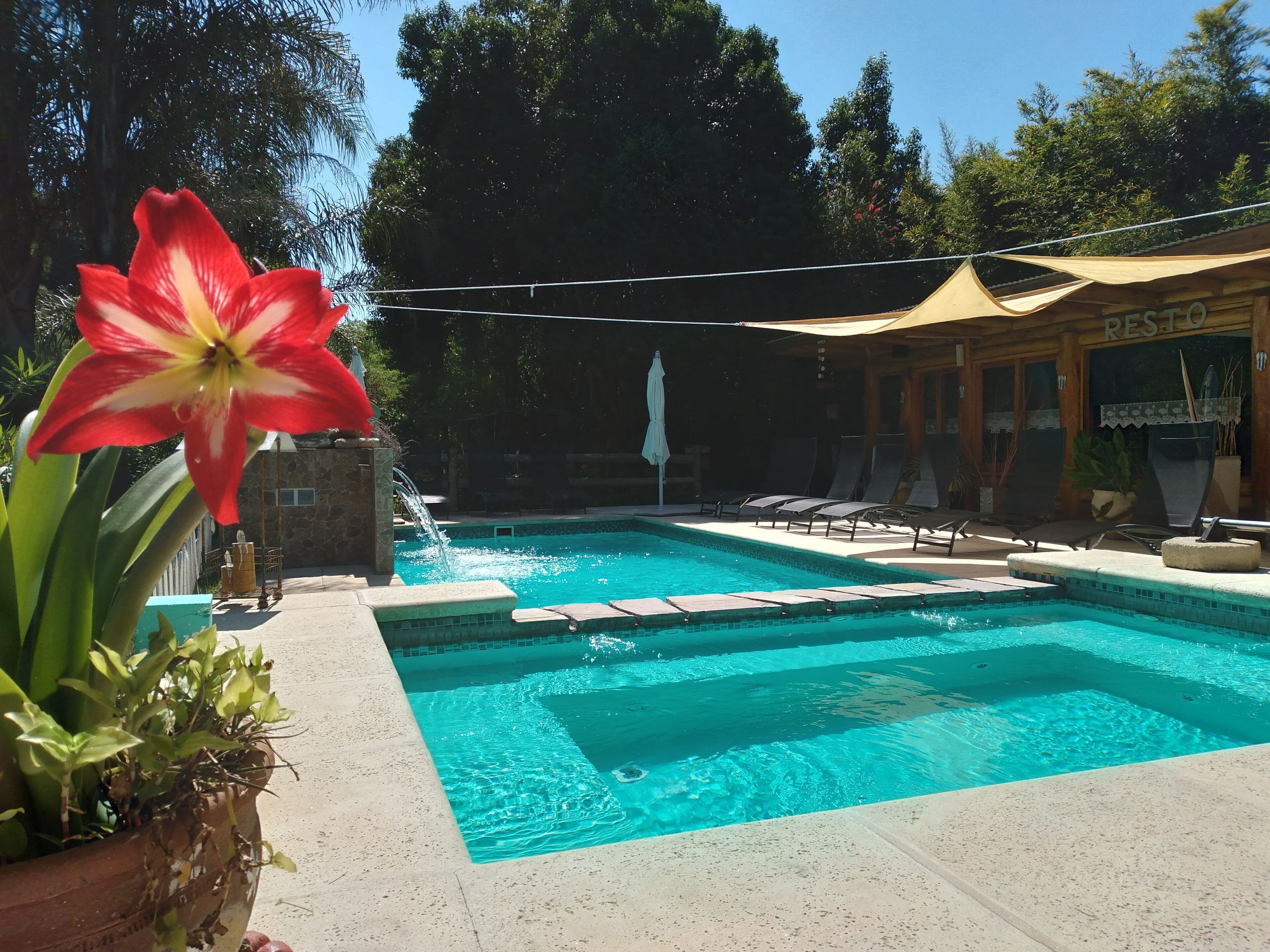 Une piscine bordée de pierres, des chaises longues et, au fond, un restaurant appelé « RESTO ».
