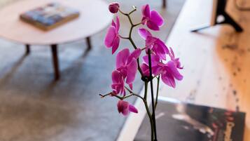 Una orquídea rosa sobre una mesa, con un libro y una revista al fondo.