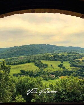 Vista dalla camera