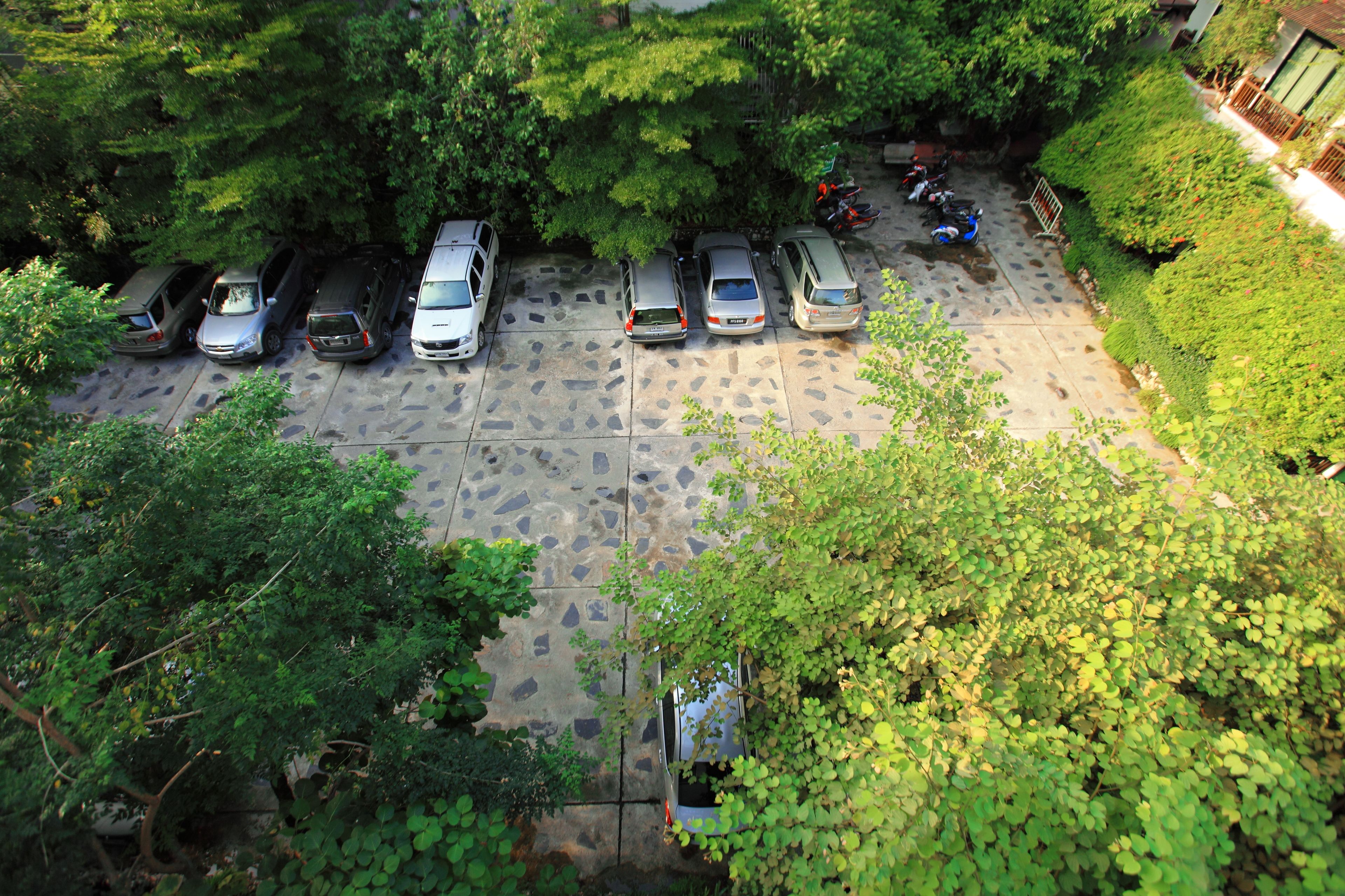 Ein Parkplatz mit mehreren Autos und Motorrädern, umgeben von dichter Bepflanzung.