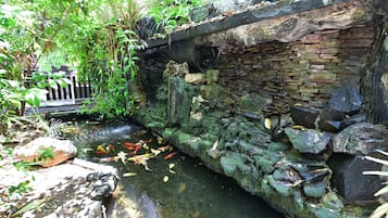Vườn