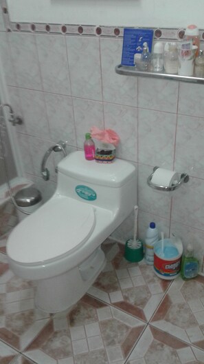 Shower, hair dryer, towels - Malecon 2000 (Guayaquil)