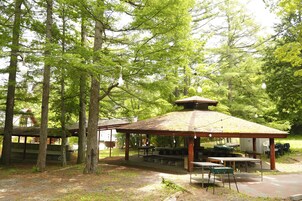 BBQ/picnic area