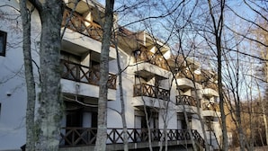 A multi-story building with balconies, surrounded by trees. - Yamanakako-Asahigaoka-Onsen Hotel Seikei (Yamanakako)