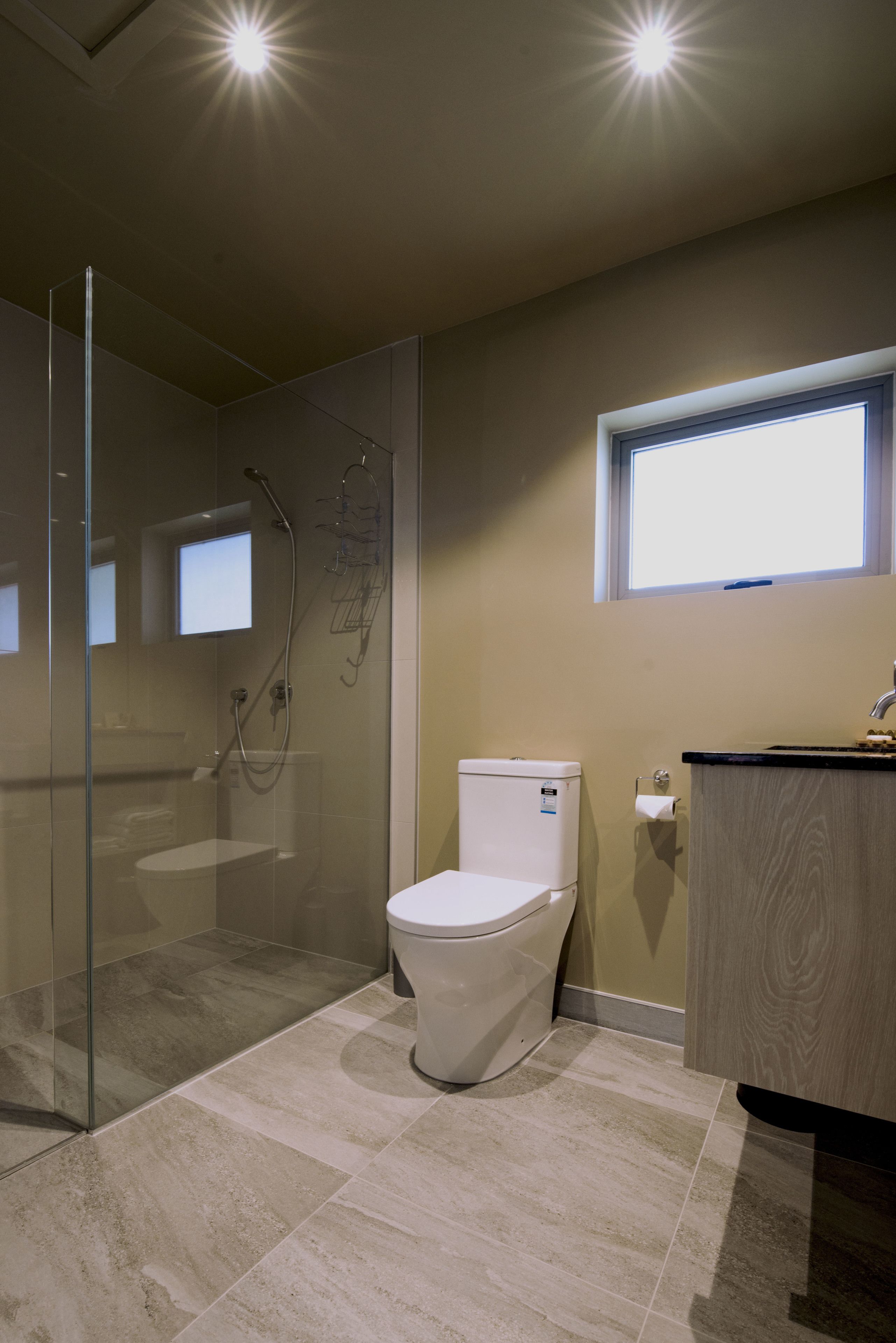 A modern bathroom with a glass shower enclosure, a toilet, and a vanity with a sink.