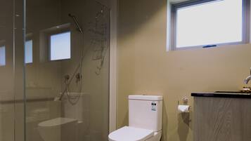 A modern bathroom with a glass shower enclosure, a toilet, and a vanity with a sink.