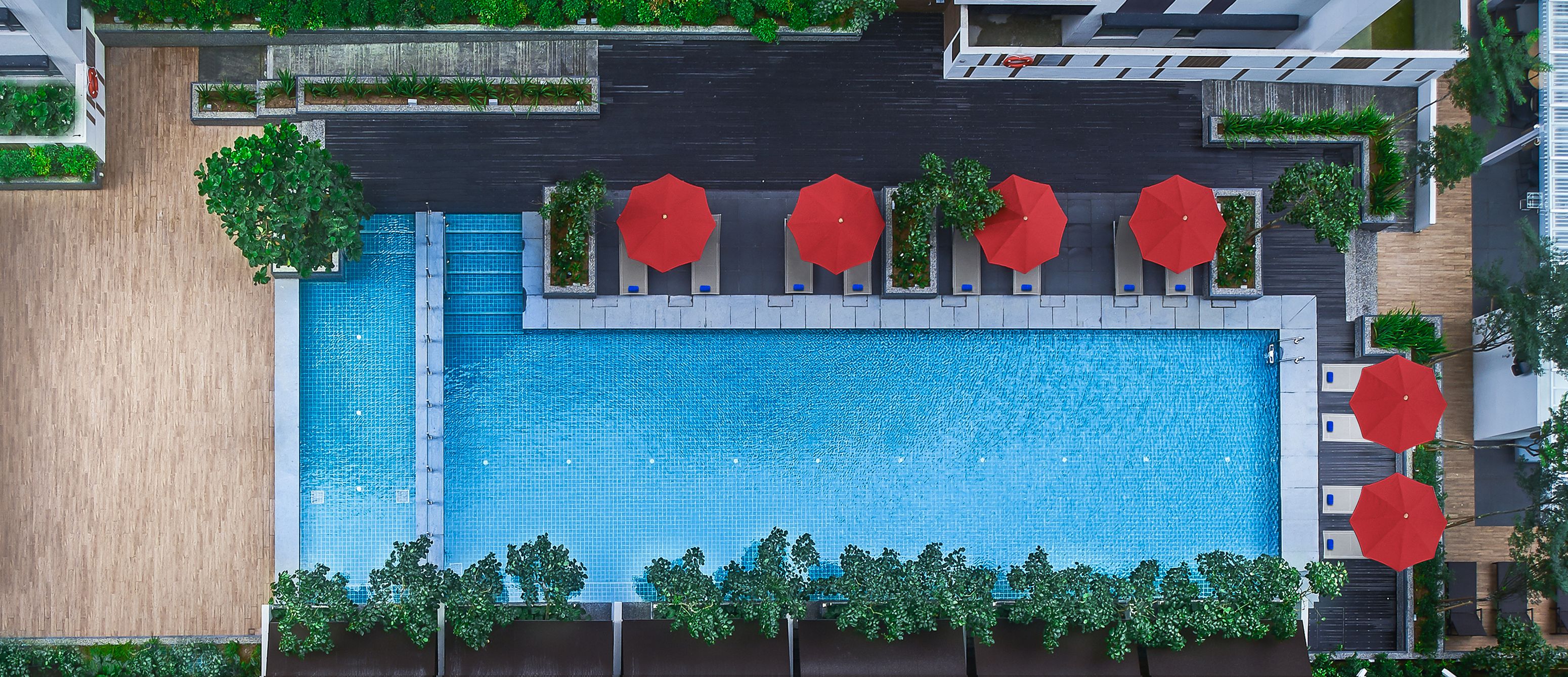 outdoor pool, pool umbrellas, pool loungers