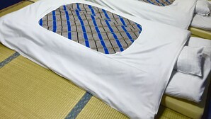 A traditional Japanese room with tatami flooring, two tatami mats with blue and gray patterns, a wooden ceiling with shoji screens, and a sliding door. - Star Inn Tokyo - Hostel (Tokyo)
