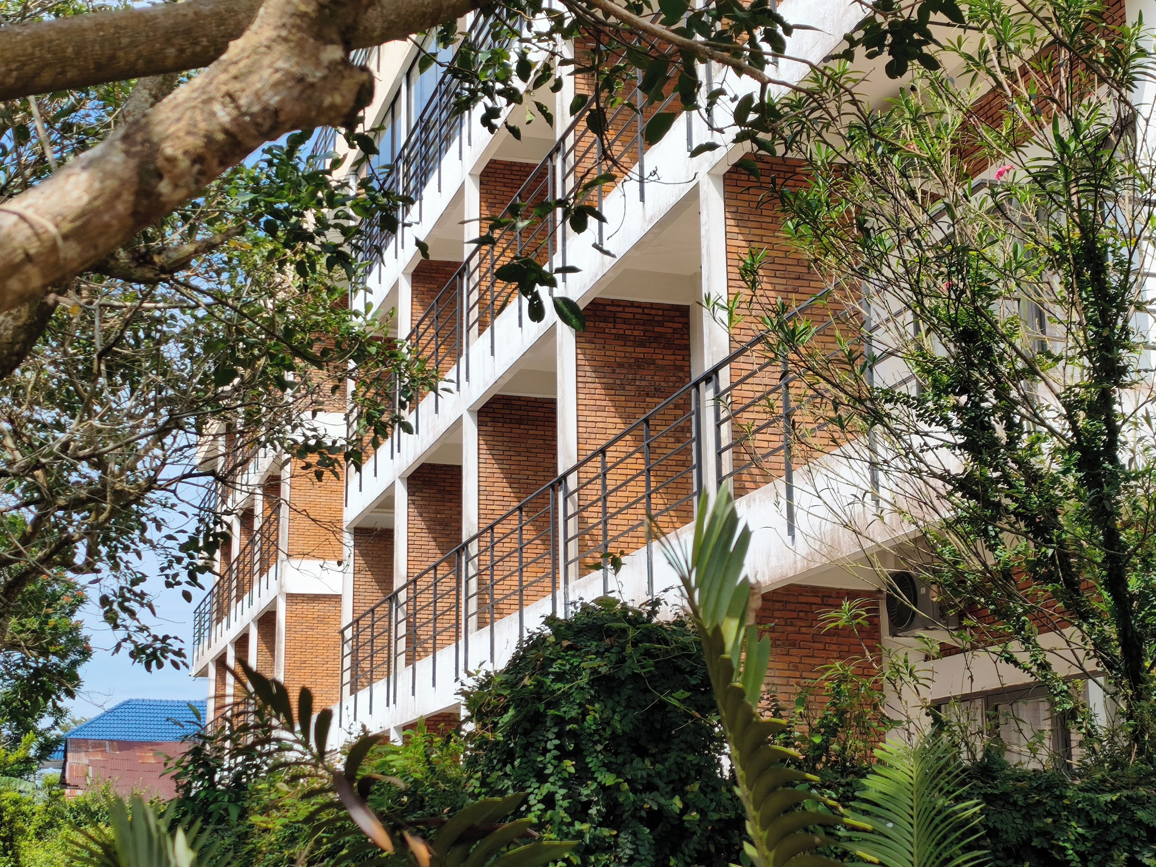 Foto - Thong's Inn Hotel Kualanamu